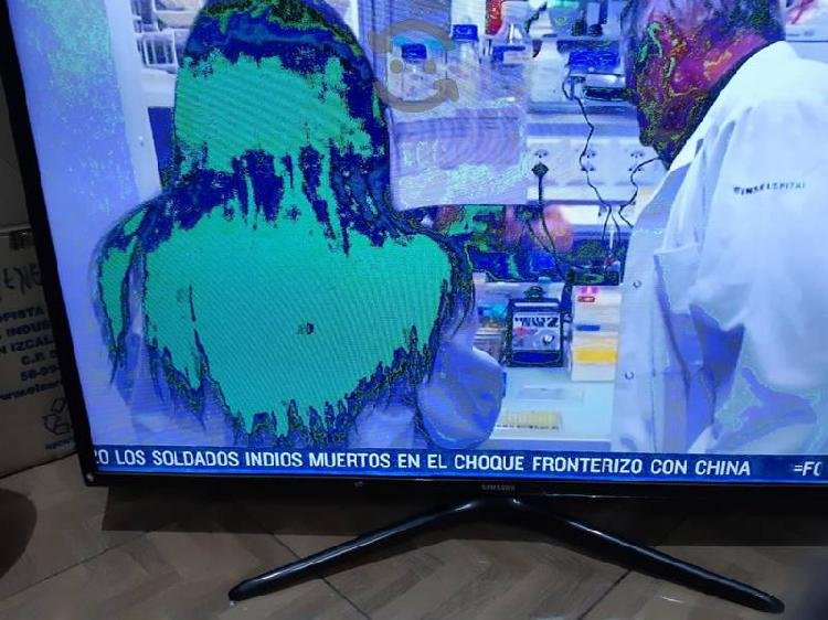 Pantalla Solarizada